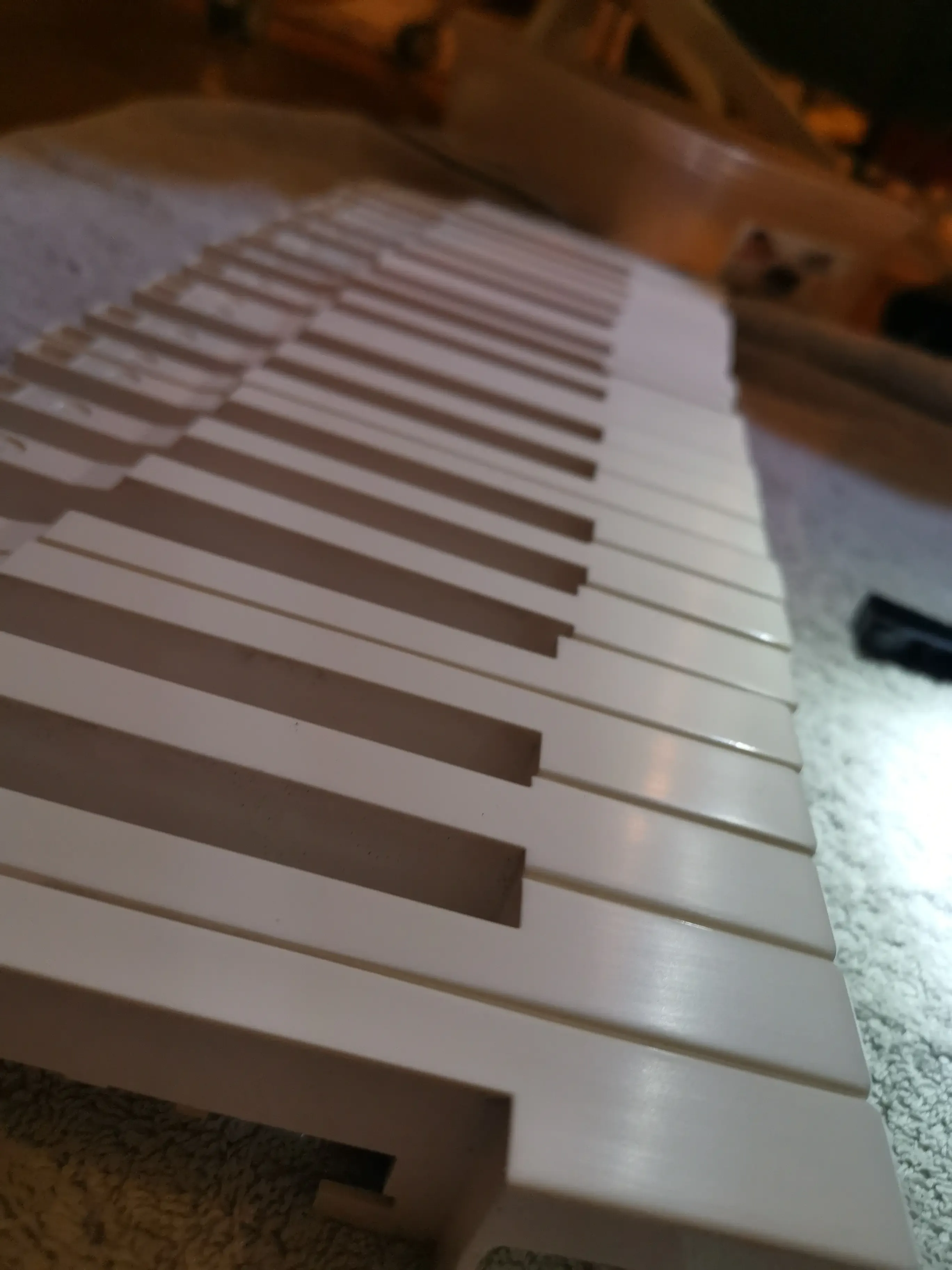 Keys reinstalled and the new display backlight